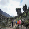Thumb Nail Image: 2 Best Mount Kilimanjaro Climbing Tips - Lead a Successful Summit