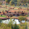 Thumb Nail Image: 4 Tsavo West National Park