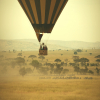 Thumb Nail Image: 4 Unleashing the Serengeti's Majesty: Embark on a Breathtaking Balloon Safari