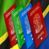 Navigating Visa and Vaccination Requirements for Travel to Tanzania
