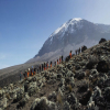 Blog post Embarking on an Unforgettable Adventure: The Lemosho Route Expedition to Mount Kilimanjaro Title