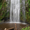 Thumb Image No: 3 Materuni Waterfalls and Coffee Farm Tour in Moshi
