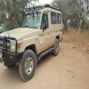 Blog post Exploring the Wonders of Tanzania's Northern Circuit Safaris Title