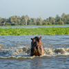 Your Ultimate Guide to Tanzania Safari Booking
