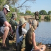 Blog post Joining Safari vs Private Safari in Tanzania – Which Option Is Right for You? Title