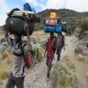 Thumb Nail Image: 4 Balancing Comfort and Conservation: How Many Porters Should Climb Kilimanjaro per One Climber?