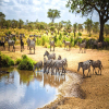 Exploring the Wild: A Camping Safari in Tanzania