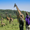 Blog post Arusha National Park: A Hidden Gem in Tanzania's Wildlife Wonderland Title