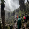 Thumb Nail Image: 4 The Reason to Choose Machame Route for Your Kilimanjaro Trekking