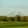 Thumb Nail Image: 1 Kilimanjaro Best Climbing Notes and Tips For A Better Climbing Experience