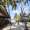 Thumb Nail Image: 2 Dar es Salaam Beach Holidays: Where Urban Living Meets Tropical Paradise